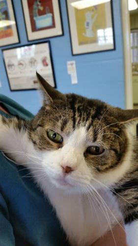 13180852 10108523996170161 537242827 n