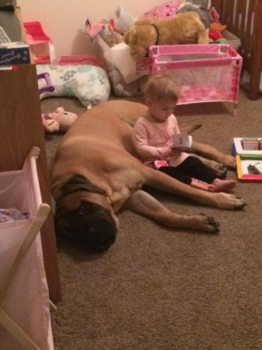 IMG 2272-e1464488132651