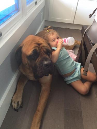 IMG 3551-e1464488251488