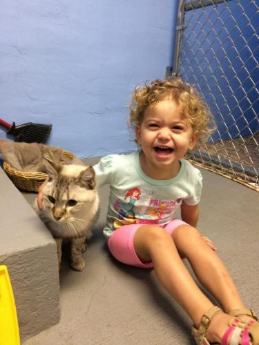 IMG 5199-e1464488291757